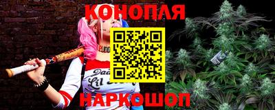 мяу мяу мука Кинель