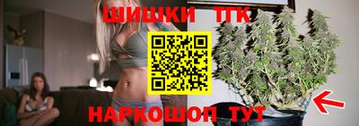 дмт Кингисепп