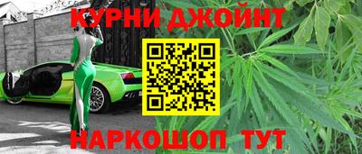 дмт Кингисепп