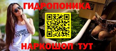 дмт Кингисепп
