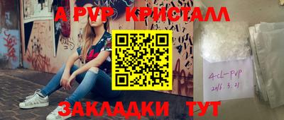 дмт Кингисепп