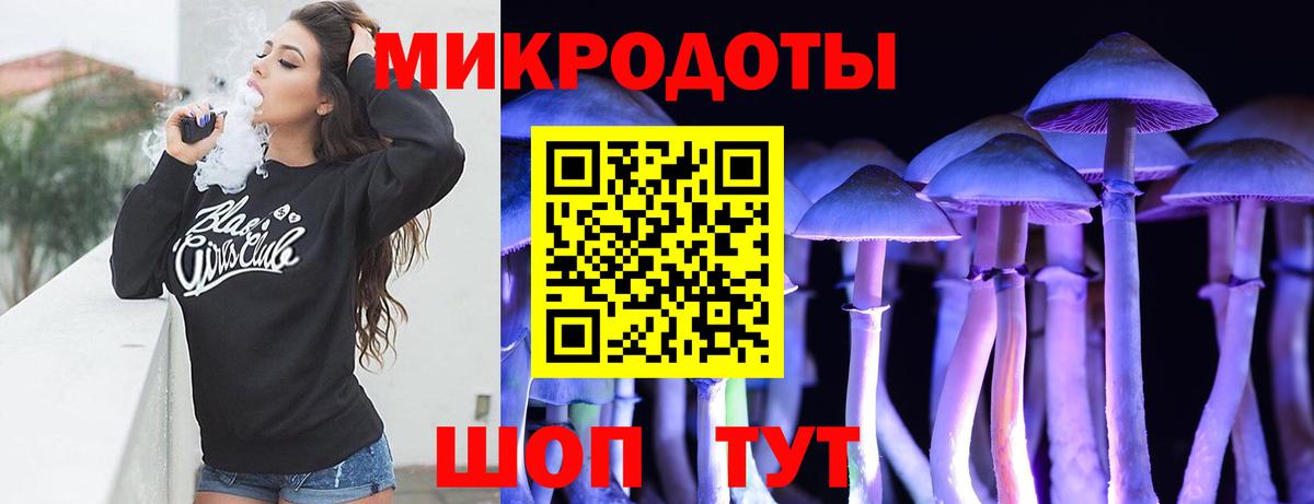 Карачаевск  Галлюциногенные грибы Psilocybine cubensis  Вход с VPN  Галлюциногенные грибы мицелий 